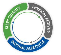 get better sleep - Sleep Quality Cycle